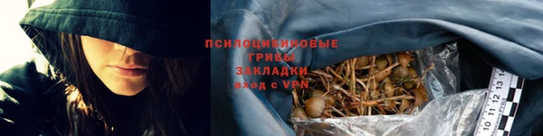 бошки Нефтегорск