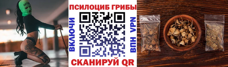 Галлюциногенные грибы мухоморы  где купить наркотик  Южа 